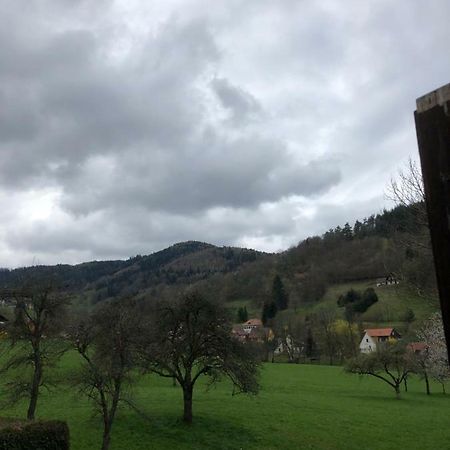 Petit Week End Dans La Vallee Breitenbach-Haut-Rhin Exteriér fotografie