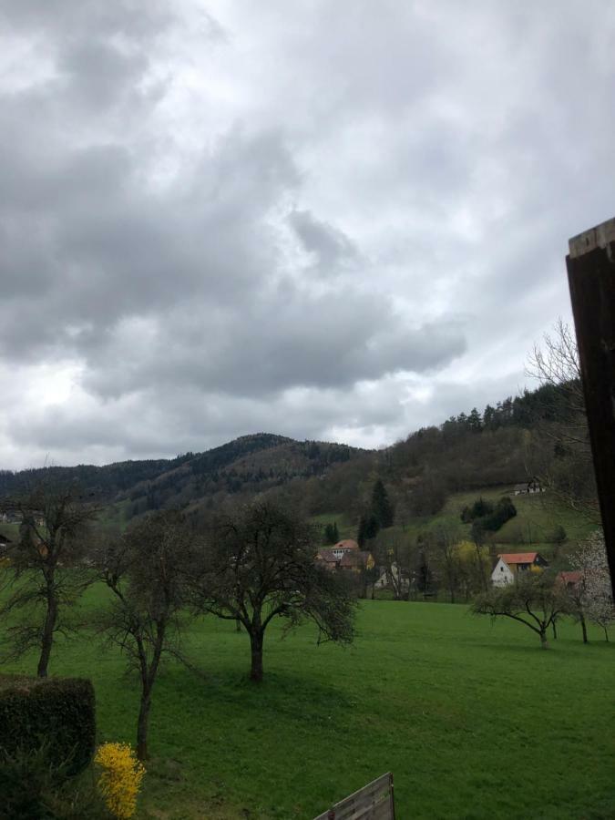 Petit Week End Dans La Vallee Breitenbach-Haut-Rhin Exteriér fotografie