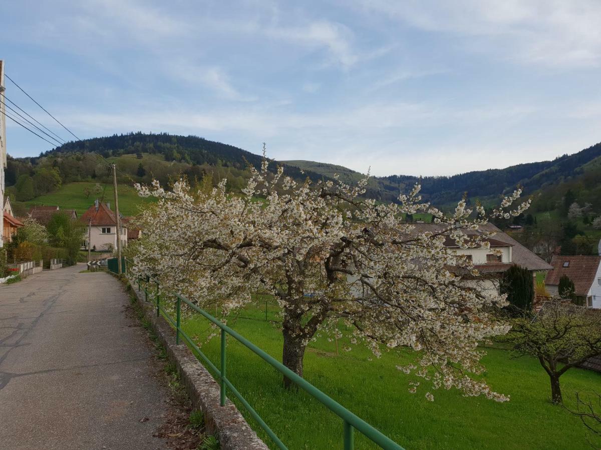 Petit Week End Dans La Vallee Breitenbach-Haut-Rhin Exteriér fotografie