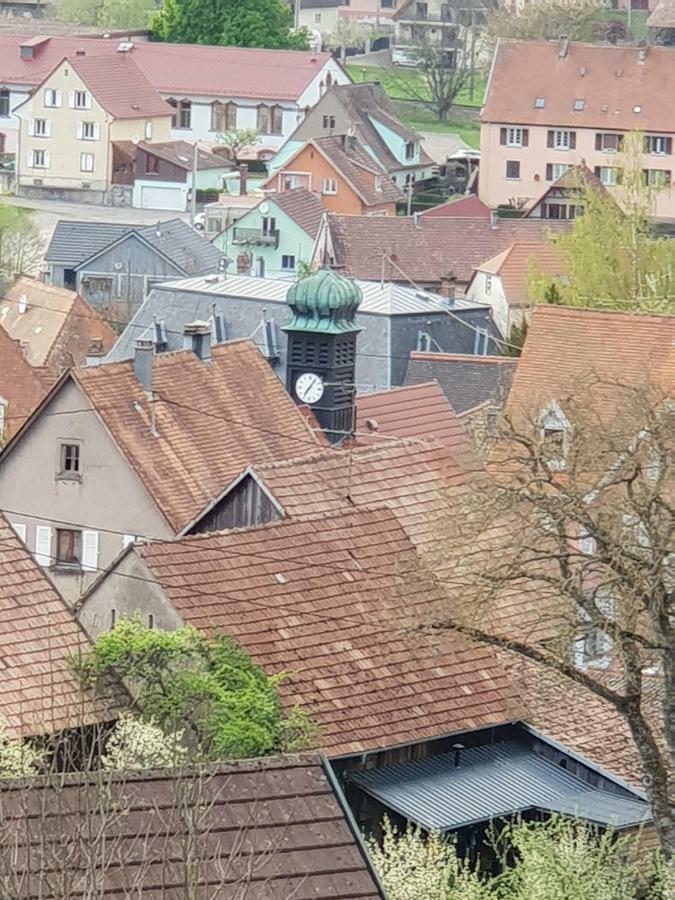 Petit Week End Dans La Vallee Breitenbach-Haut-Rhin Exteriér fotografie