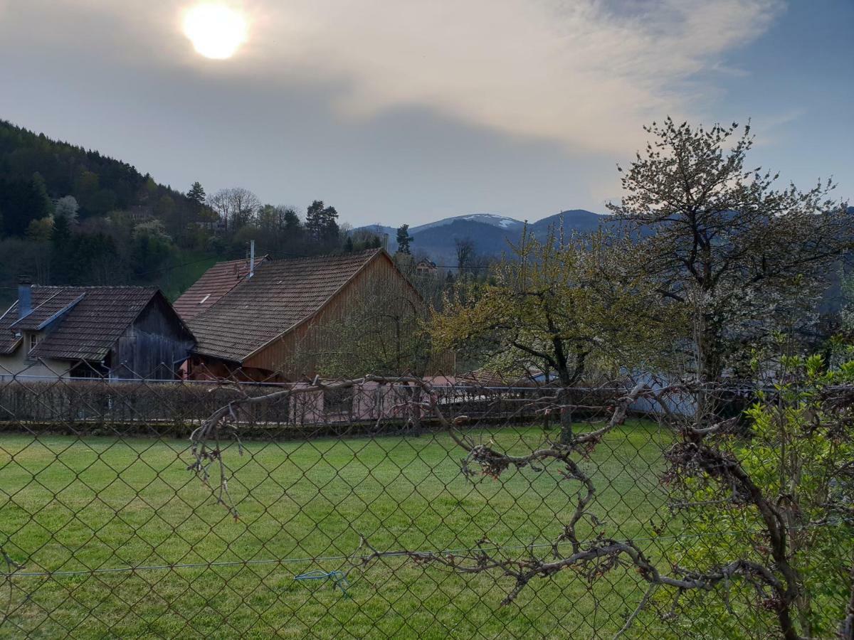 Petit Week End Dans La Vallee Breitenbach-Haut-Rhin Exteriér fotografie