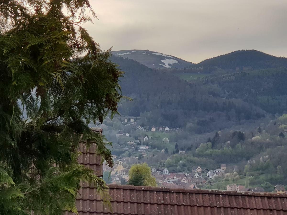 Petit Week End Dans La Vallee Breitenbach-Haut-Rhin Exteriér fotografie