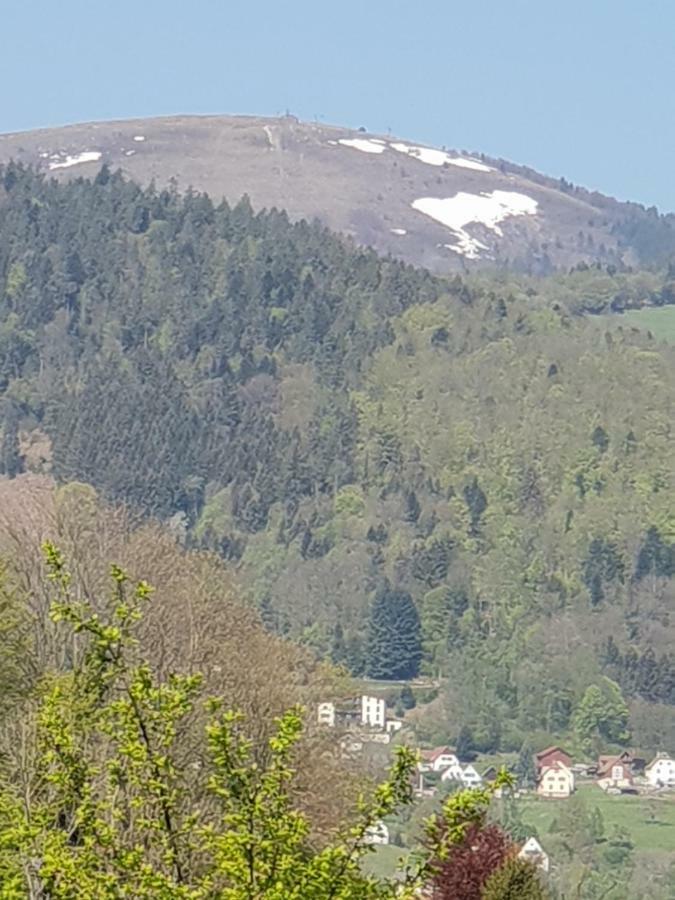 Petit Week End Dans La Vallee Breitenbach-Haut-Rhin Exteriér fotografie