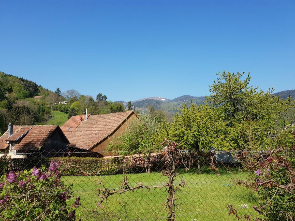 Petit Week End Dans La Vallee Breitenbach-Haut-Rhin Exteriér fotografie