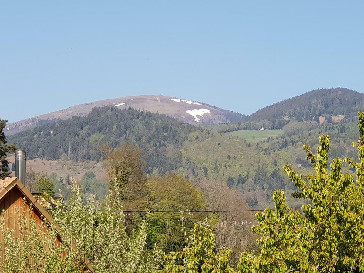 Petit Week End Dans La Vallee Breitenbach-Haut-Rhin Exteriér fotografie