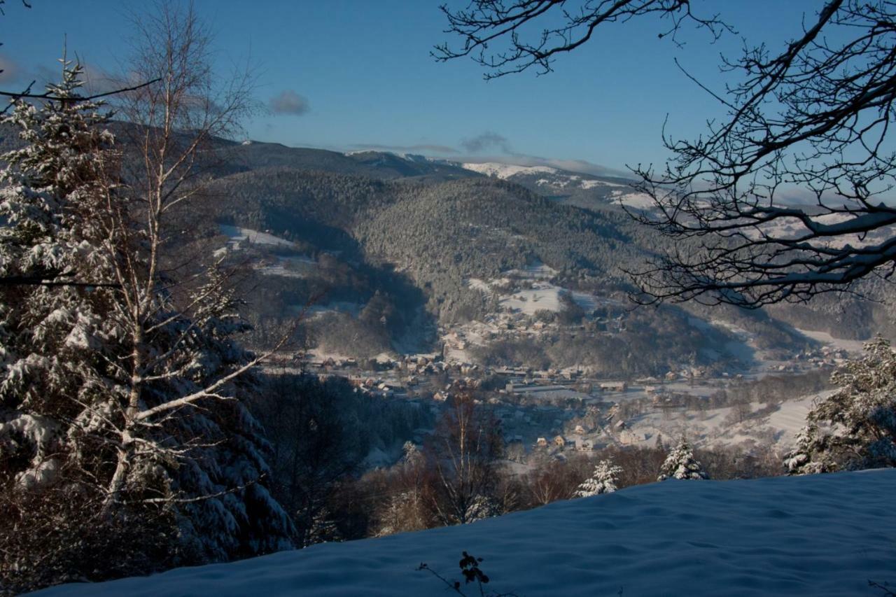 Petit Week End Dans La Vallee Breitenbach-Haut-Rhin Exteriér fotografie