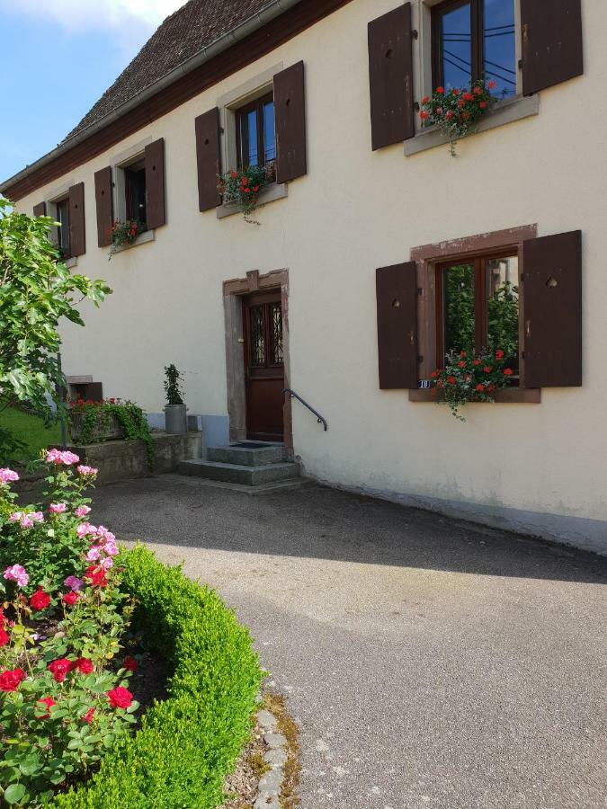 Petit Week End Dans La Vallee Breitenbach-Haut-Rhin Exteriér fotografie